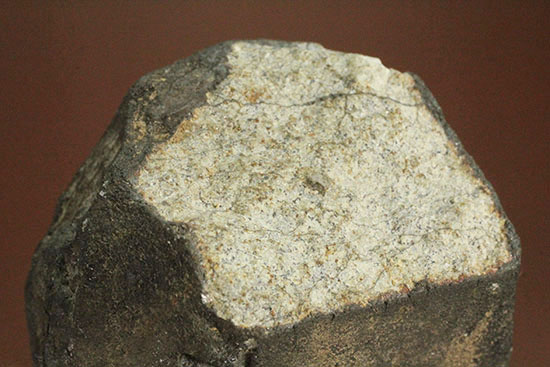 隕石名不明。見事な溶融表皮を伴う石質隕石（その8）