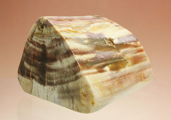 その美しさに目を奪われる、芸術的なブロック状の珪化木（けいかぼく