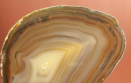 地球が生み出した縞模様です。メノウのスライス標本(Agate)（その11）