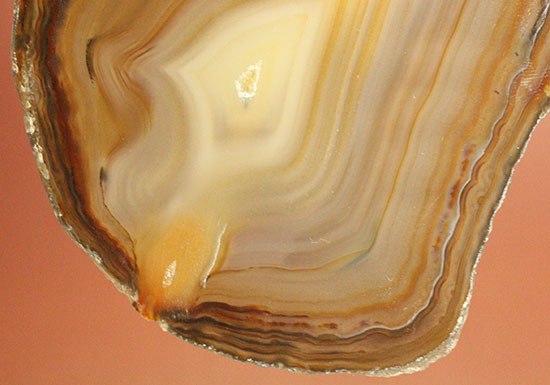 地球が生み出した縞模様です。メノウのスライス標本(Agate)（その12）