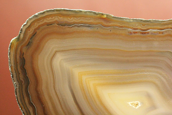 地球が生み出した縞模様です。メノウのスライス標本(Agate)（その3）