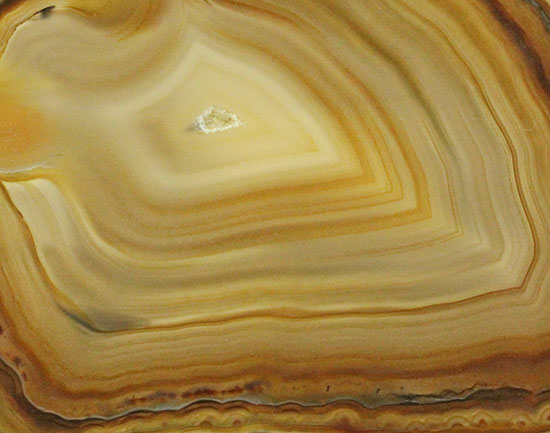 地球が生み出した縞模様です。メノウのスライス標本(Agate)（その6）