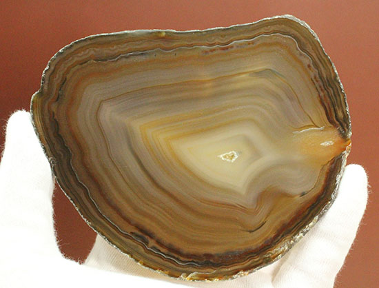 地球が生み出した縞模様です。メノウのスライス標本(Agate)（その8）