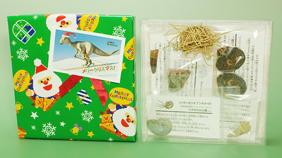 子ども用クリスマスプレゼントに最適!ラッピング無料!光るアンモナイトや恐竜ウンチ化石など人気化石が入った、お得なバラエティ化石5点セット(光るアンモナイト、ヘマタイトアンモナイト、恐竜ウンチ化石、スピノサウルス歯、モササウルスの歯)(その1)