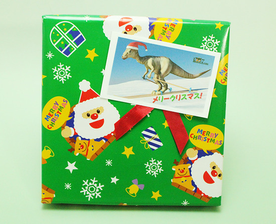 子ども用クリスマスプレゼントに最適!ラッピング無料!光るアンモナイトや恐竜ウンチ化石など人気化石が入った、お得なバラエティ化石5点セット(光るアンモナイト、ヘマタイトアンモナイト、恐竜ウンチ化石、スピノサウルス歯、モササウルスの歯)(その18)