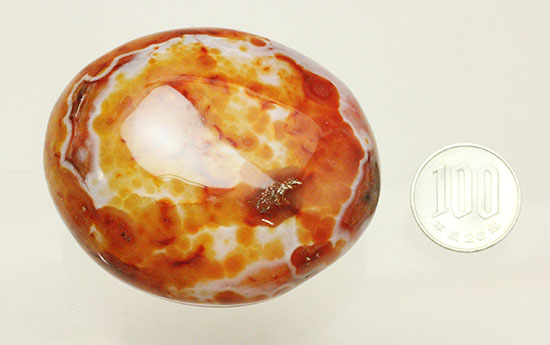 古代より珍重されてきた鉱物、紅玉髄こと、カーネリアン(Carnelian) （その15）