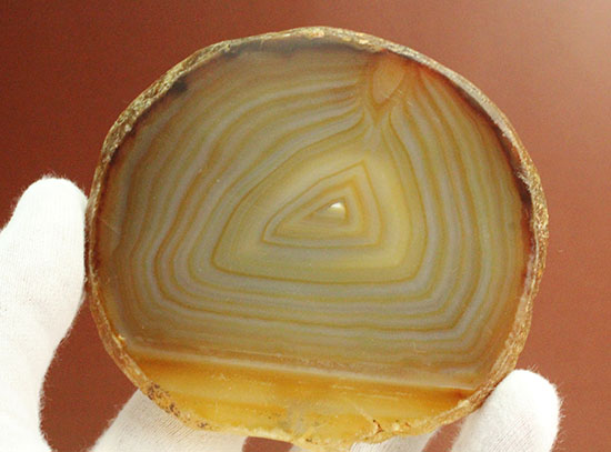 光にかざして見てほしい！幾何学縞模様のメノウスライス標本(Agate)（その13）