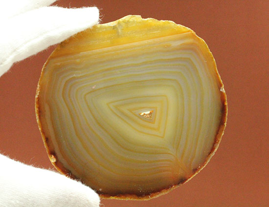 光にかざして見てほしい！幾何学縞模様のメノウスライス標本(Agate)（その14）