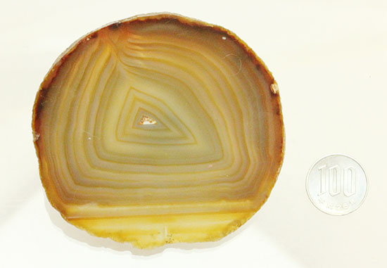 光にかざして見てほしい！幾何学縞模様のメノウスライス標本(Agate)（その15）