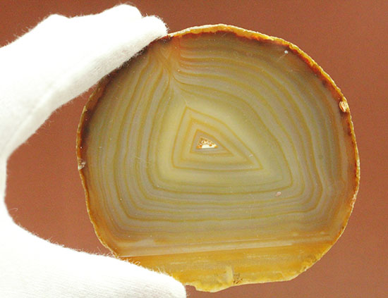 光にかざして見てほしい！幾何学縞模様のメノウスライス標本(Agate)（その5）