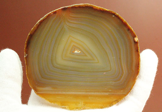 光にかざして見てほしい！幾何学縞模様のメノウスライス標本(Agate)（その6）