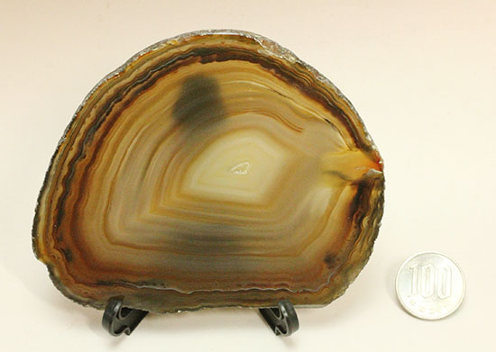 透明度高い！縞状模様のメノウスライス標本(Agate)（その14）