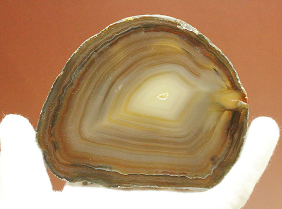 透明度高い！縞状模様のメノウスライス標本(Agate)（その7）