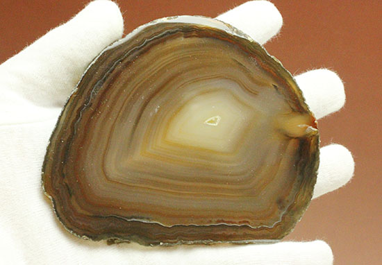 透明度高い！縞状模様のメノウスライス標本(Agate)（その8）