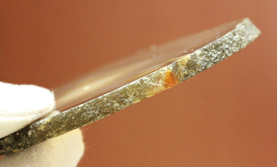 透明度高い！縞状模様のメノウスライス標本(Agate)（その9）