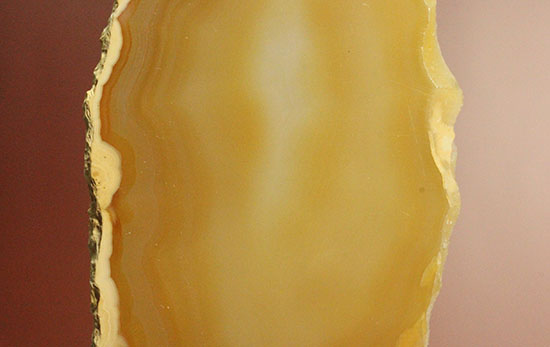 黄色いグラデーション色、明るい印象のメノウスライス標本(Agate)（その3）