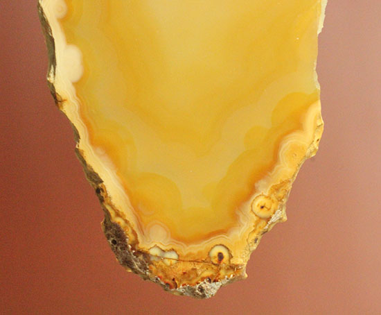 黄色いグラデーション色、明るい印象のメノウスライス標本(Agate)（その4）