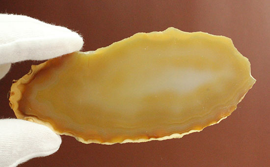 黄色いグラデーション色、明るい印象のメノウスライス標本(Agate)（その5）