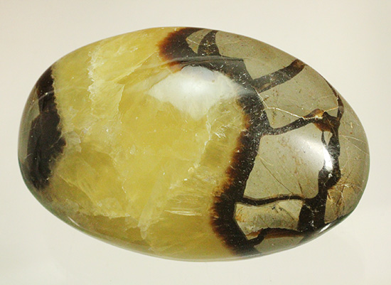 この3色の色の秘密は一体何でしょう!?鉱物セプタリアン(Septarian)(その11)