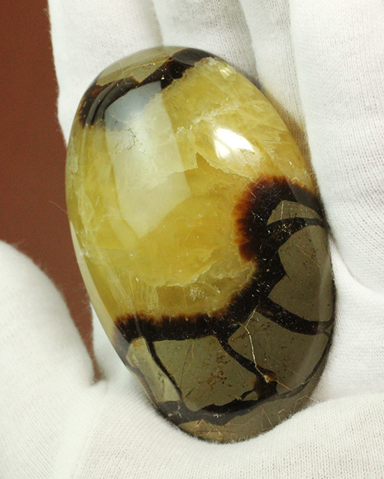 この3色の色の秘密は一体何でしょう!?鉱物セプタリアン(Septarian)(その12)