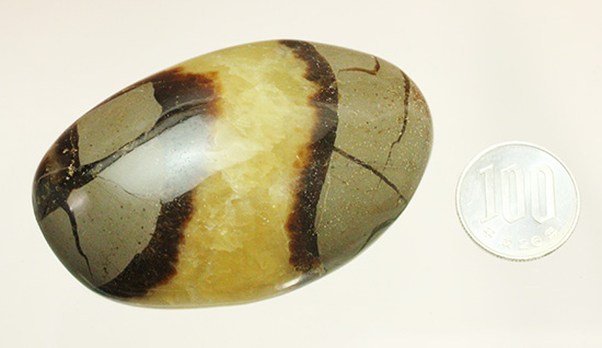 この3色の色の秘密は一体何でしょう!?鉱物セプタリアン(Septarian)(その14)