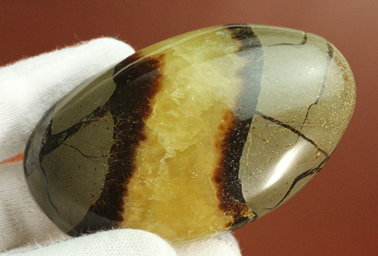 この3色の色の秘密は一体何でしょう!?鉱物セプタリアン(Septarian)(その2)