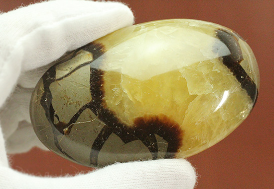 この3色の色の秘密は一体何でしょう!?鉱物セプタリアン(Septarian)(その3)