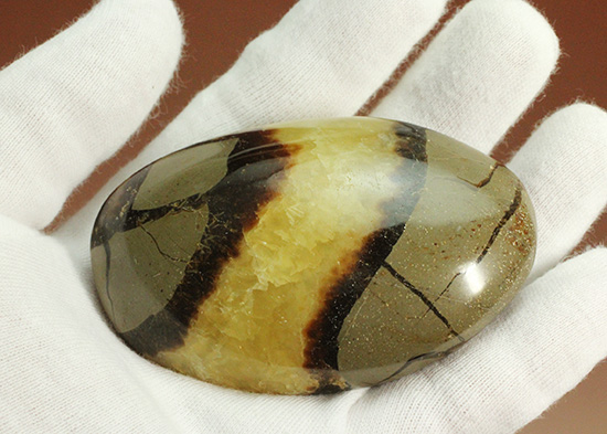 この3色の色の秘密は一体何でしょう!?鉱物セプタリアン(Septarian)(その7)