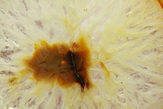透明度高し!透き通るメノウ大判標本(Agate)(その10)