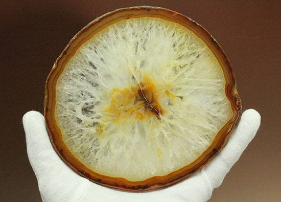 透明度高し!透き通るメノウ大判標本(Agate)(その15)