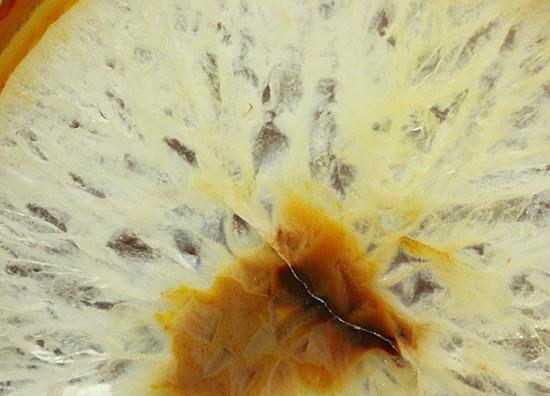 透明度高し!透き通るメノウ大判標本(Agate)(その3)