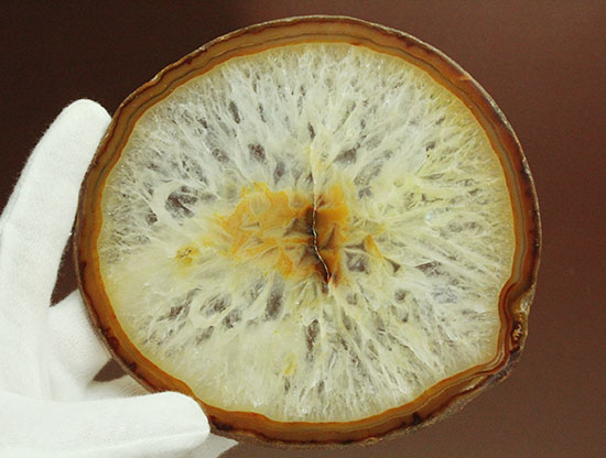 透明度高し!透き通るメノウ大判標本(Agate)(その9)