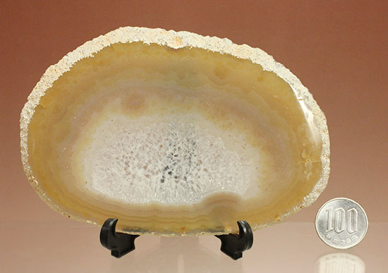 中央部がステンドグラスのように透き通ります!鉱物メノウ標本(Agate)(その11)