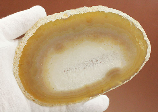 中央部がステンドグラスのように透き通ります!鉱物メノウ標本(Agate)(その4)