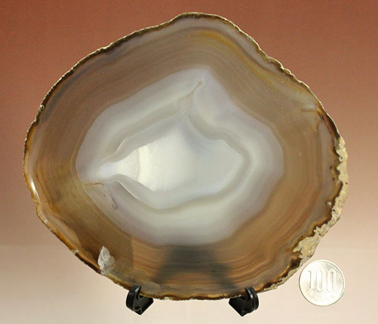 光にかざすと色調が変わる、鉱物メノウの大判標本(Agate)(その16)