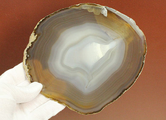 光にかざすと色調が変わる、鉱物メノウの大判標本(Agate)（その6）