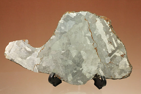 鉄隕石カンポ・デル・シエロのスライス標本(144g)（その1）