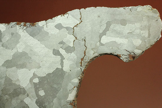 鉄隕石カンポ・デル・シエロのスライス標本(144g)（その10）
