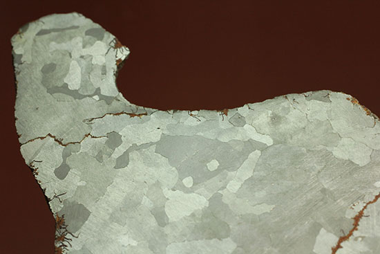 鉄隕石カンポ・デル・シエロのスライス標本(144g)（その13）