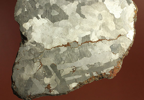 鉄隕石カンポ・デル・シエロのスライス標本(144g)（その14）
