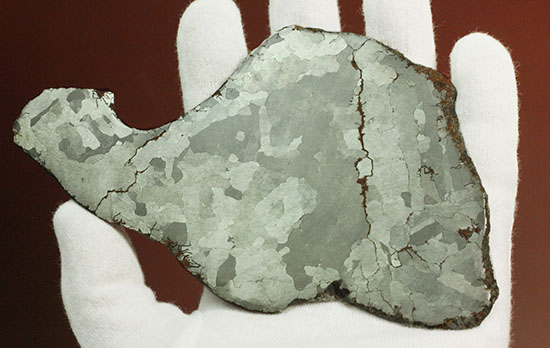 鉄隕石カンポ・デル・シエロのスライス標本(144g)（その4）