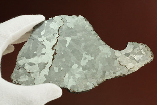 鉄隕石カンポ・デル・シエロのスライス標本(144g)（その5）
