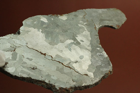 鉄隕石カンポ・デル・シエロのスライス標本(144g)（その6）