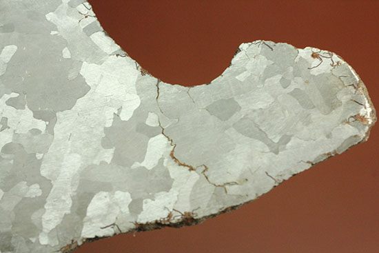 鉄隕石カンポ・デル・シエロのスライス標本(144g)（その7）