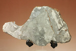 鉄隕石カンポ・デル・シエロのスライス標本(144g)