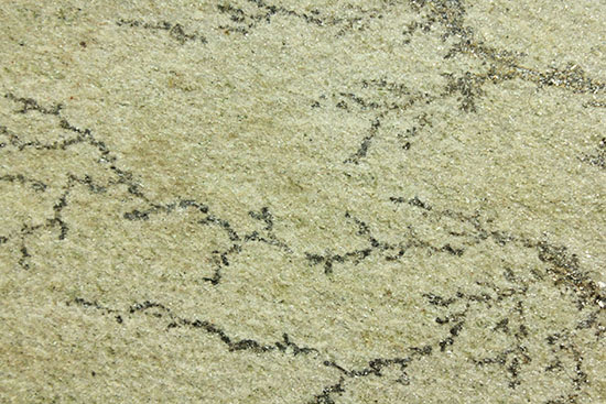 縦にも横にも展示可能!鉱物デンドライト木枠入り標本(その10)