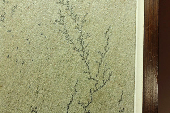 縦にも横にも展示可能!鉱物デンドライト木枠入り標本(その4)