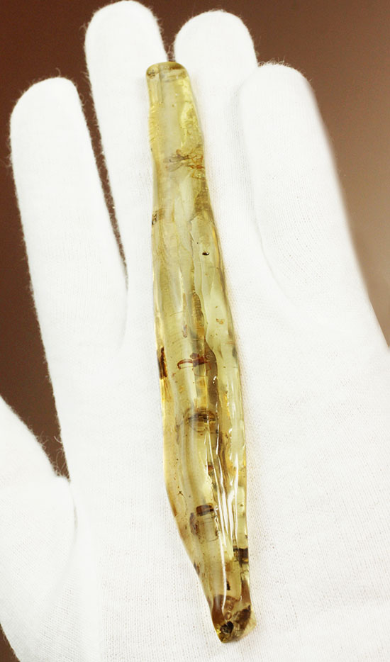 肉眼で見えるクモ入り!その他多くの虫を内包する、古代の森を内包したコーパル化石(Copal)(その2)