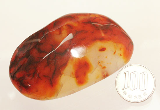 赤い色にも深い赤があった!玉髄(ぎょくずい)の仲間、紅玉髄こと、カーネリアンポリッシュ標本(その14)