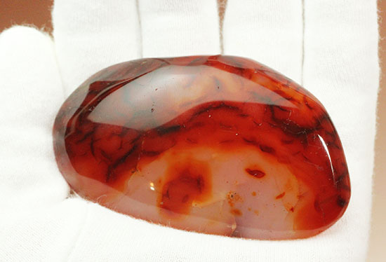 赤い色にも深い赤があった!玉髄(ぎょくずい)の仲間、紅玉髄こと、カーネリアンポリッシュ標本(その3)